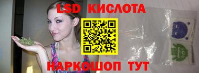 крисы Новозыбков