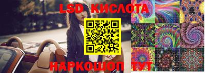 крисы Новозыбков