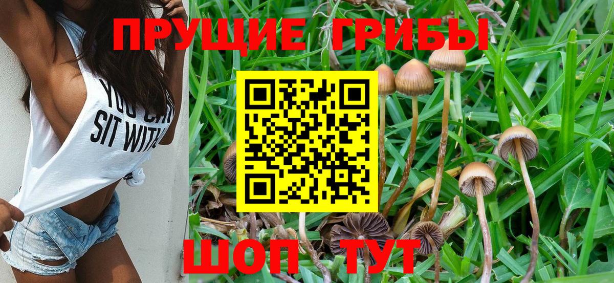 Галлюциногенные грибы Cubensis  Вход с VPN  Шелехов 