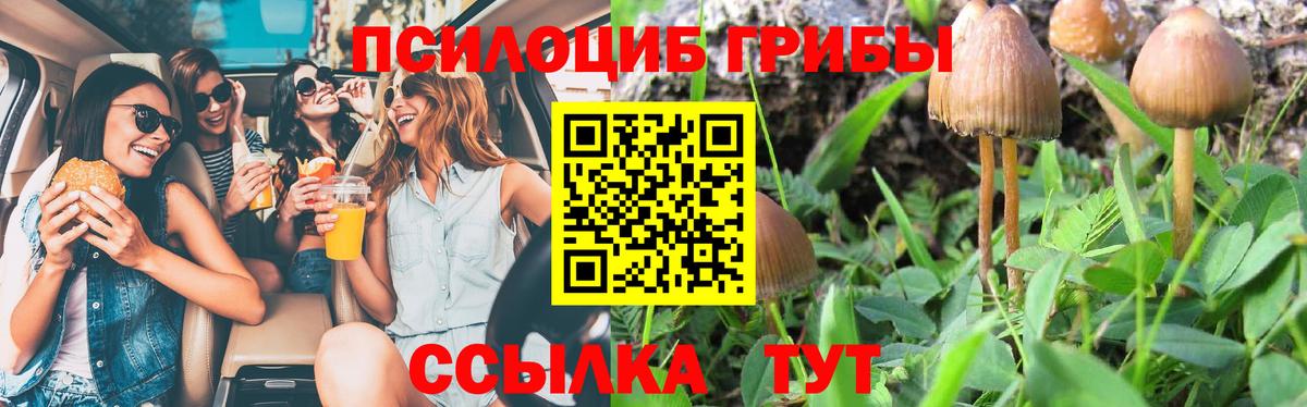 Псилоцибиновые грибы Cubensis Шелехов